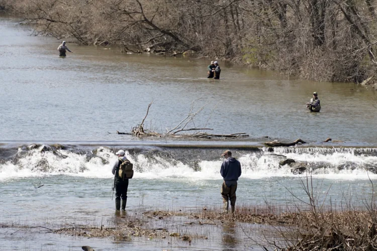 Fish and Boat Commission raises size limit for trout